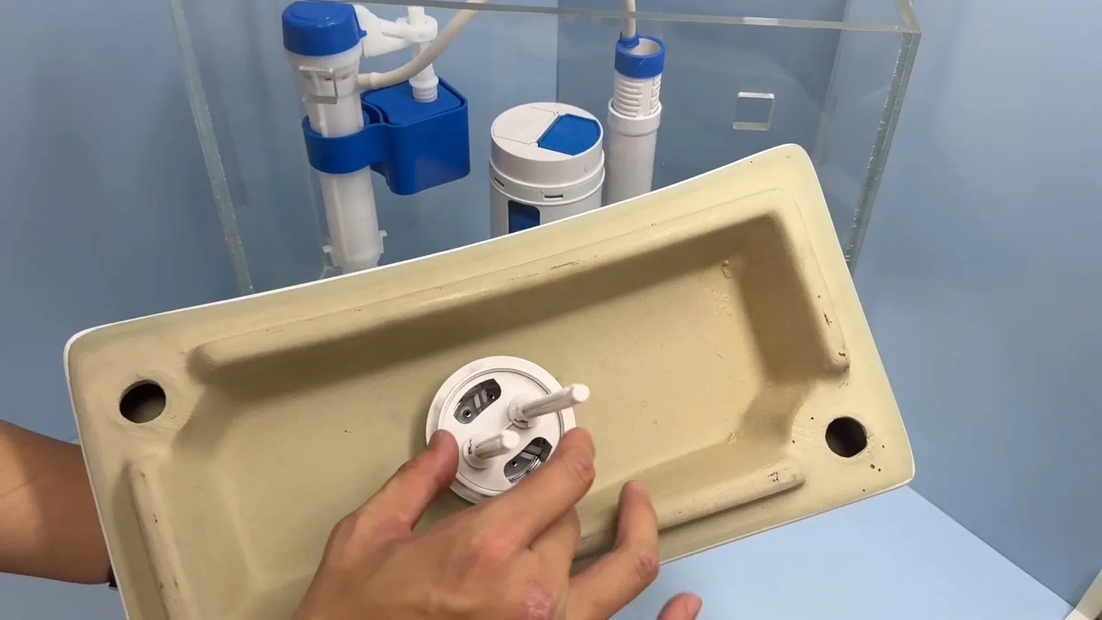 Hands holding a toilet tank lid upside down in front of a clear demonstration tank that shows a blue fill valve and a white float