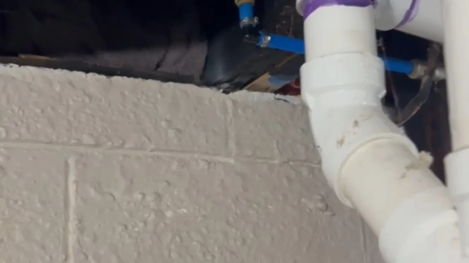 White PVC drain elbow with purple primer at the joint, beside a painted block wall and blue PEX lines above